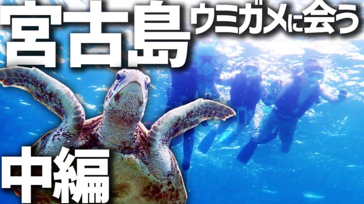 2023年 宮古島旅行　【中編】