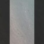 2023年 宮古島の海の魚の数