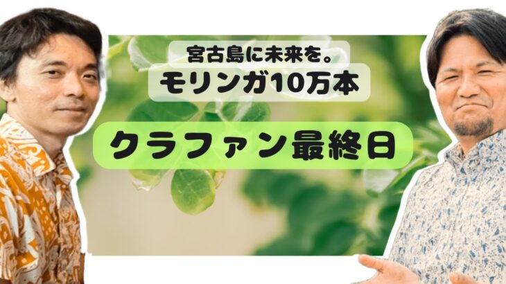 2023年 モリンガで宮古島を救う。永島太一郎さんとのライブ配信！