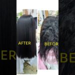 2023年 宮古島美容室✂️💇✨メルヘン～✴️最近の店内～✴️ありがとうございます‼️🧡