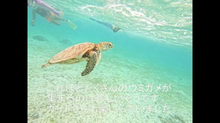 2023年 かなちゃん宮古島を楽しむ #釣り