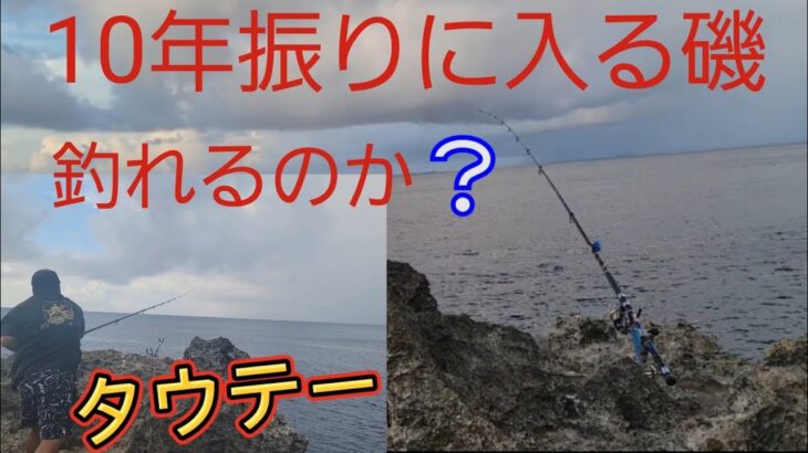 2023年 打ち込みで１０年入ってなかった磯に行った結果❕