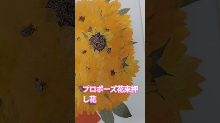 2023年 #宮古島プロポーズバラ押し花 #軽井沢ブーケ押し花 #千葉プロポーズバラ押し花