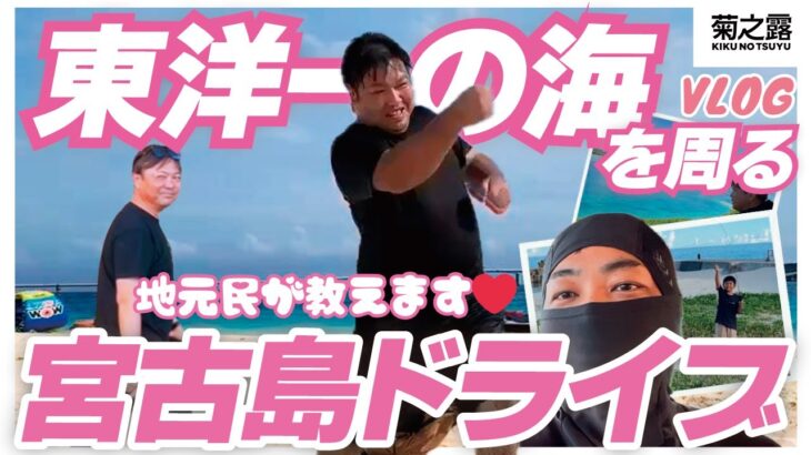 2023年 【地元民が教える】宮古島の美しい海🌊ドライブツアー!!【菊之露酒造】