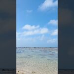 2023年 宮古島観光スポット（伊良部島）シンビジ#宮古島 #宮古島旅行 #宮古島観光 #沖縄旅行 #伊良部島