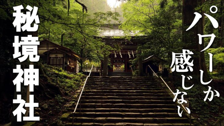 【異世界】巨樹に包まれた茨城秘境のパワースポット/花園神社/茨城観光旅行vlog