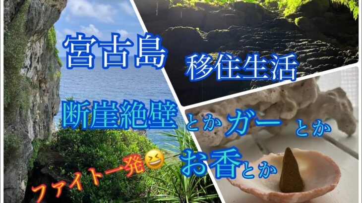 2023年 【vlog】宮古島移住生活🏝️断崖絶壁の絶景とファイト一発💪😆街中のガーと月桃のお香🌸🤗