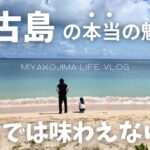 2023年 【宮古島vlog】これが宮古んちゅのリアルな休日です。穴場ビーチとグリーンカーテンに癒された日!!