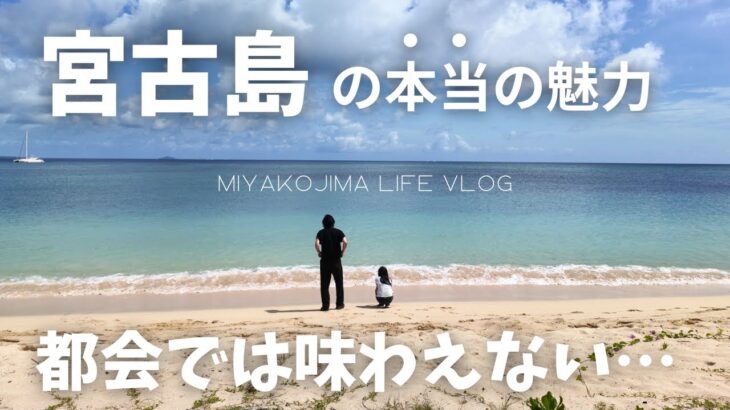 2023年 【宮古島vlog】これが宮古んちゅのリアルな休日です。穴場ビーチとグリーンカーテンに癒された日!!