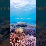 2023年 【宮古島】沖縄で1番サンゴが綺麗だと思う八重干瀬でシュノーケルしてきました🪸　　#サンゴ礁 #シュノーケル #沖縄離島 #宮古島 #八重干瀬