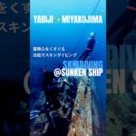 2023年 2025⭐︎八重干瀬の沈没船でスキンダイビング／宮古島 #skindiving #miyakojima #yabiji  #八重干瀬 #freediving #snorkel #underwater