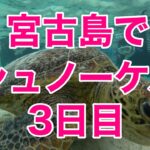 2023年 宮古島でシュノーケル3日目