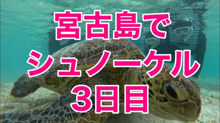 2023年 宮古島でシュノーケル3日目