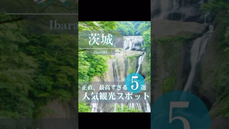 【茨城】最高すぎた人気観光スポット5選 #ibaraki #japan #sightseeing #shorts #fyp