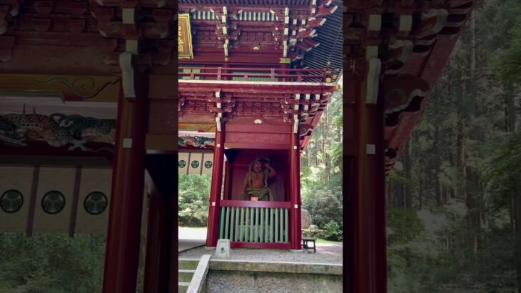 茨城県 日立市 御岩神社 (神々しい楼門と樹齢500年の三本杉)ヒーリング効果絶大です #relax #relaxing #パワースポット #旅行 #神社 #自然 #スピリチュアル #観光