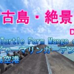 2023年 DAY3 伊良部宮古編　　マンゴーカフェと絶景ビーチ