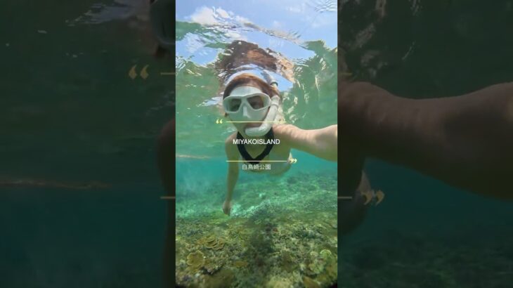 2023年 MIYAKOISLAND/白鳥崎公園 #miyakojima #スキンダイビング #ダイビング#freediving #シュノーケリング #宮古島 #ドリー #dory #ナンヨウハギ