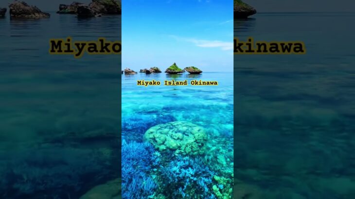 2023年 Miyako Island (Miyakojima), Okinawa