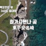 2023年 [미야코지마 히가시헨나 곶] 이게 미야코블루지! 등대부터 갈라진 바다까지 Miyakojima View