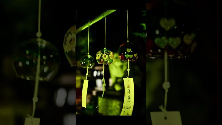茨城県下妻市の大宝八幡宮ライトアップをNikon zfcで撮影 #写真 #travel #観光#イルミネーション #神社