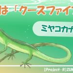 2023年 【ミヤコカナヘビ】みやち&うみかの宮古島生物紹介！ Part3 #就労支援B型事業所 #宮古島 #生き物