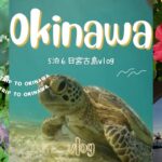 2023年 【Vlog】宮古島旅行5泊6日｜絶景と生き物の島 #宮古島 #シュノーケリング #ウミガメ
