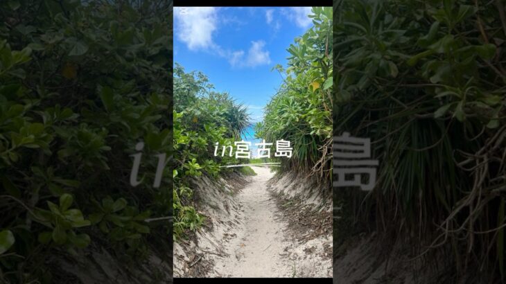 2023年 夏の思い出☺︎in宮古島#宮古島 #宮古島グルメ #リゾバ #思い出