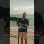 2023年 真夏の果実／宮古島ウクレレカバー  #宮古島 #ウクレレシンガーmasa #真夏の果実