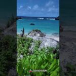 2023年 宮古島秘境浮潛地—中之島