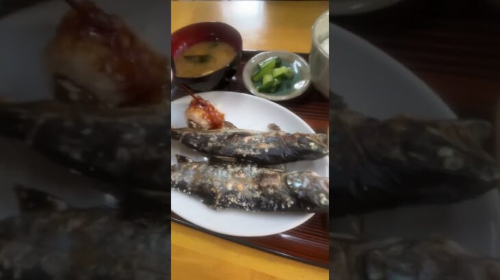 【釣った魚をその場で焼いて食べられる　大川戸釣堀　栃木県益子町】 #栃木県 #栃木観光 #益子町