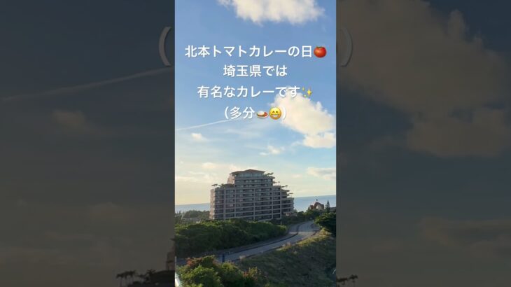 2023年 沖縄散歩【宮古島市 上野】の朝☀️