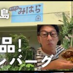 2023年 「宮古島 カフェ巡り｜隠れ家『キッチンみはら』の絶品ハンバーグを食べてみた！」