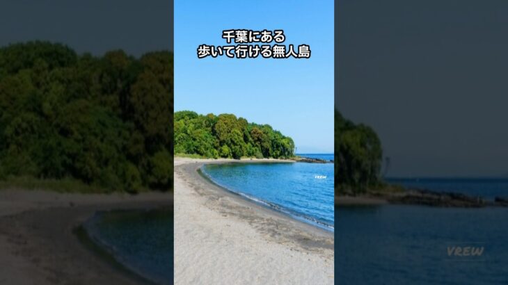 沖ノ島海水浴場【水中&洞窟映像】