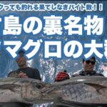 2023年 ［釣行記録］宮古島って実はイソマグロのパラダイス！イソンボメインでもガイド出来ますよ！