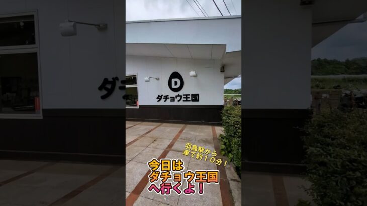 ダチョウ、のち、ヒヨコ　#旅行 #旅行vlog #茨城観光 #ダチョウ#ダチョウ王国#ヒヨコ
