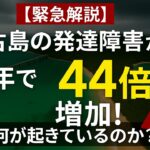 2023年 【10年で44倍】発達障害児童増加。なぜ、宮古島で急増？客観的なデータから考える発達障害の原因の一つと希望。