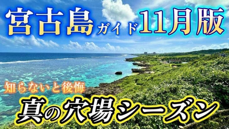 2023年 知らないと後悔！なぜ11月宮古島旅行は”真の穴場シーズン”なのか？