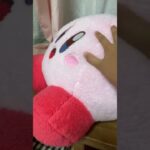 2023年 2025年9月29日
