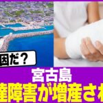 2023年 宮古島で発達障害が増産される…【2chまとめ】【2chスレ】【5chスレ】
