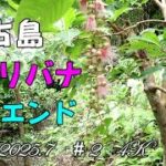 2023年 宮古島、35エンドの珊瑚たち　2025 7　＃2　４Ｋ