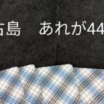 2023年 宮古島　あれが44倍❓️