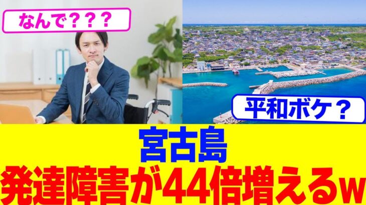 2023年 宮古島の発達障害が44倍増えるwww【2chまとめ】【2chスレ】【5chスレ】