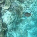 2023年 9/22宮古島