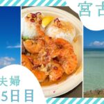 2023年 【アラフォーDINKs飲兵衛夫婦】宮古島旅行5日目（HARRY’S GARLIC SHRIMP TRUCK・雪塩ファクトリー・竜宮城展望台・AOSORA PARLOR）