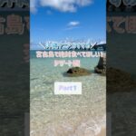 2023年 ＼沖縄マニアおすすめ／宮古島で絶対食べてほしいデザートPart1#shorts#宮古島#宮古島グルメ