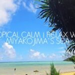 2023年 . “Tropical Calm | Relax with Miyakojima’s Sea”　南国のやすらぎ｜宮古島の海でリラックス