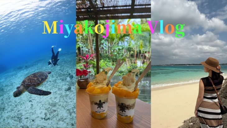 2023年 【宮古島Vlog】海・カフェ・絶景で宮古島を大満喫🌺