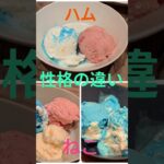 2023年 #dinks #宮古島 #シュノーケリング #ブルーシール