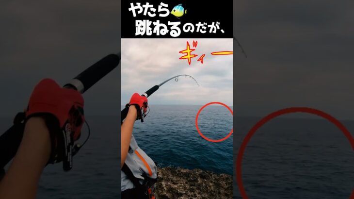 2023年 おわた…#釣り #fishing #ショアジギング  #メジャークラフト #ジグパラライブベイト #宮古島