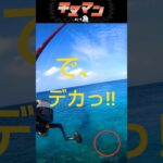 2023年 ついに〜お迎え、が…#釣り #fishing #ふかせ釣り #チヌマン #宮古島